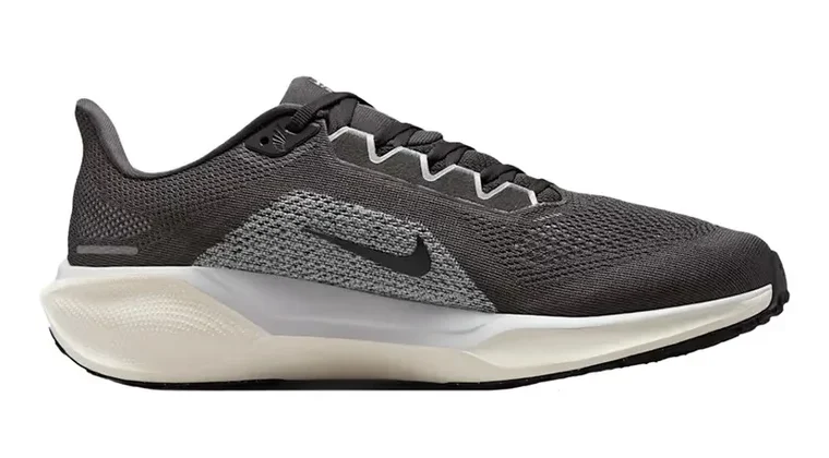 Nike Pegasus 41